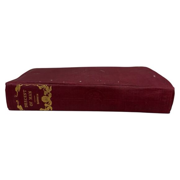 HC 1874 "The Descent of Man and Selection in Relation to Sex" Darwin Hurst & CO - Picture 5 of 16